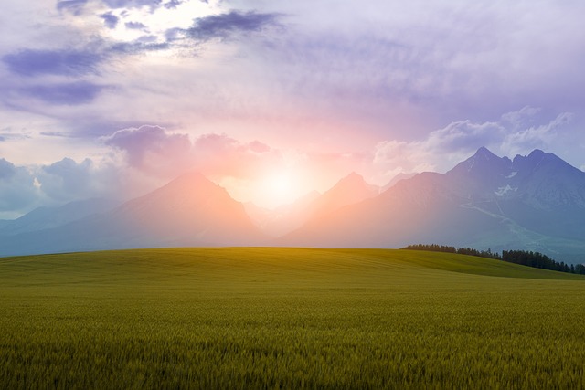 Slovensko